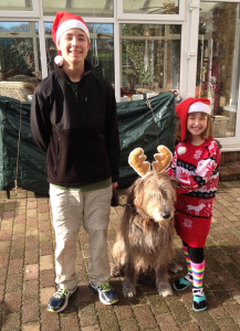 Christmas in Normandy